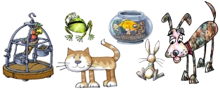 pets:bird in cage, frog, dog, cat,goldfish in bowl, rabbit