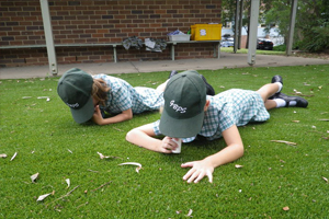 Students completing fieldwork in school grounds