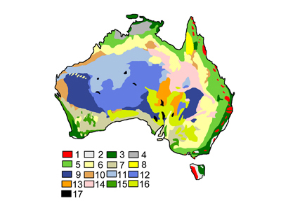 choropleth map showing Australian vegetation