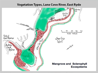 precis map of vegetation types