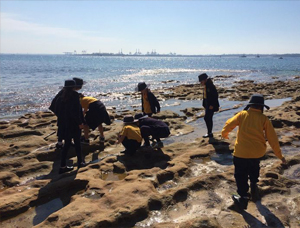 Students undertaking fieldwork on a rock platform