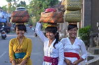 Three Balinese girls wearing kebaya - a blouse-dress combination made of semi-transparent fabric with folded V neck line and colourful sash around the waist.