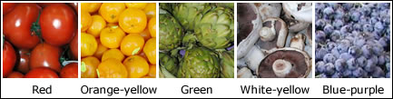 Colour range in fruits and vegetables: red, orange-yellow, green, white-yellow and blue-purple