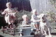 Two girls on tricycles and a boy in a pedal car with their dog playing in the backyard.