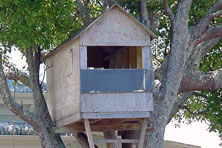 A tree house with a ladder made from wood
