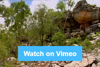 Link to Indigenous Protected Areas – Overview video on Vimeo