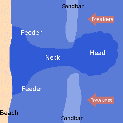 Animated graphic showing the interaction of the feeder neck and head currents that are the three parts of a rip