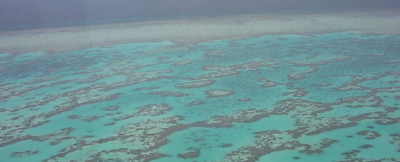 Aerial view of the Great Barrier reef