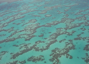 A view of the Great Barrier Reef from the air, showing turquoise water with rock and corals scattered below the surface of the water.