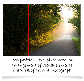 Polaroid photograph of a country road. Photo is divided into an even grid of 3 rows and 3 columns representing the 'rule of thirds'. Caption: Composition is the placement or arrangement of visual elements in a work of art or a photograph.