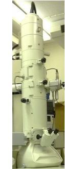 electron miscroscope