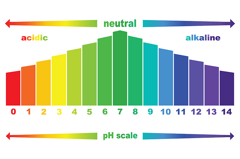 Diagram of a pH chart showing a scale of 0 to 14. A value of 0 is highly acidic. A value of 14 is highly alkaline. A Value of 7 is neutral.