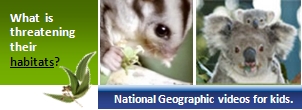 What is threatening their habitats? Link to National Geographic videos for kids