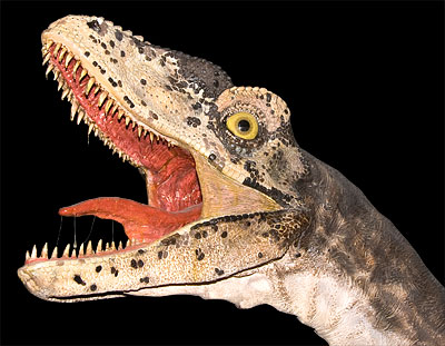  Head of a dinosaur