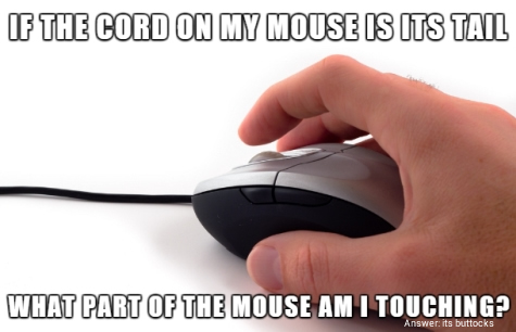 If the cord on my mouse is its tail, what part of the mouse am I touching?