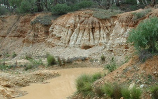 erosion caused by gold mining