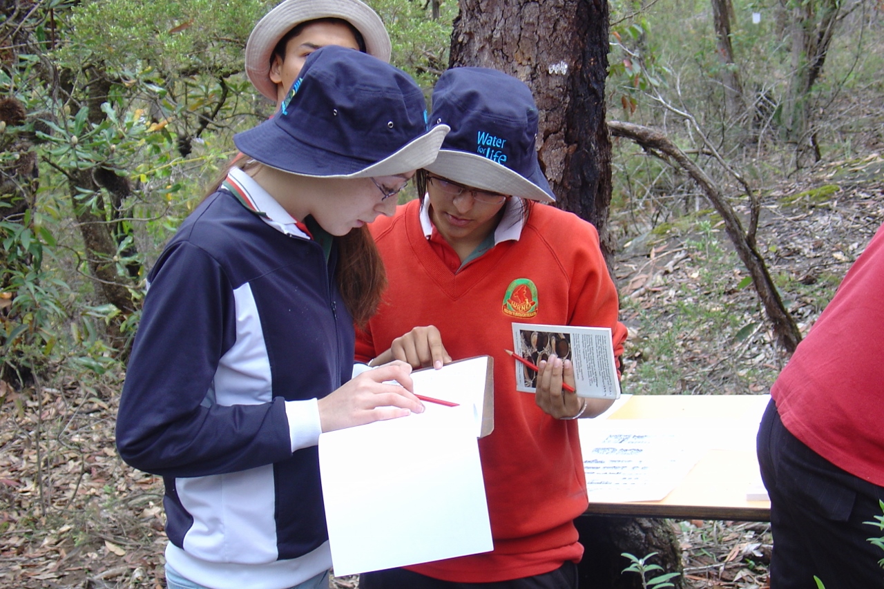 High school students stand in the forest consulting information on a clipboard.