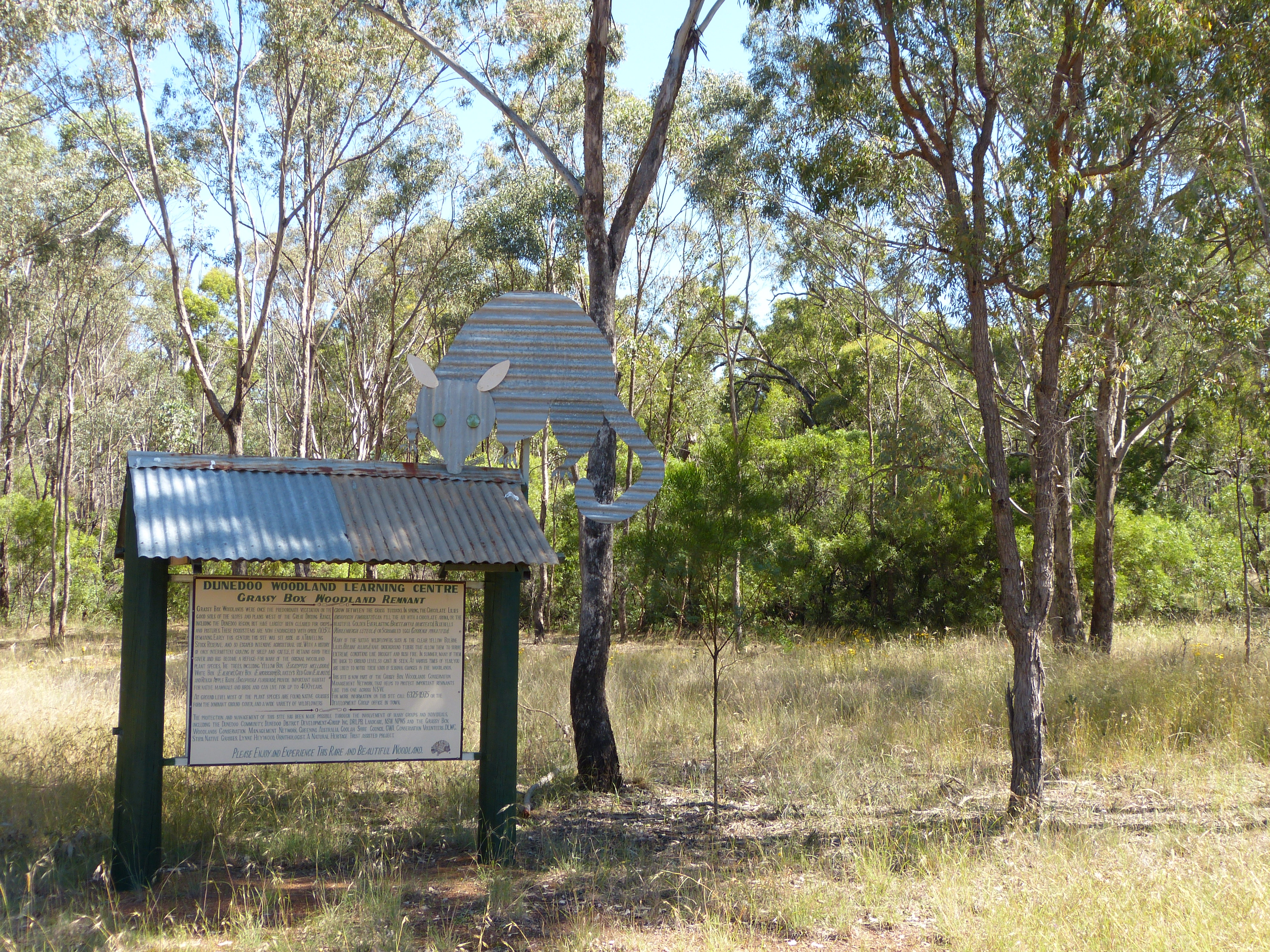 A sign with a large metal possum on top of it, stands in front of gum trees in a grassy clearing. The words on the sign cannot be read.