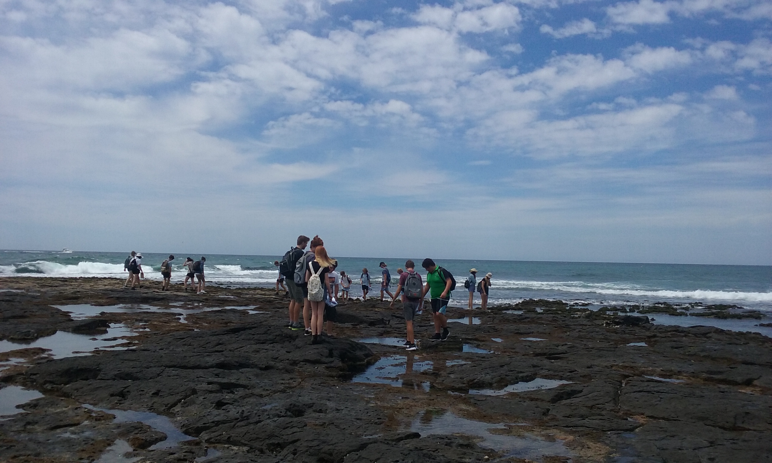 Blue sky and rock pools all over the ground. Sea in the distance. Students walk on top of the rocks looking down at the ecosystems.