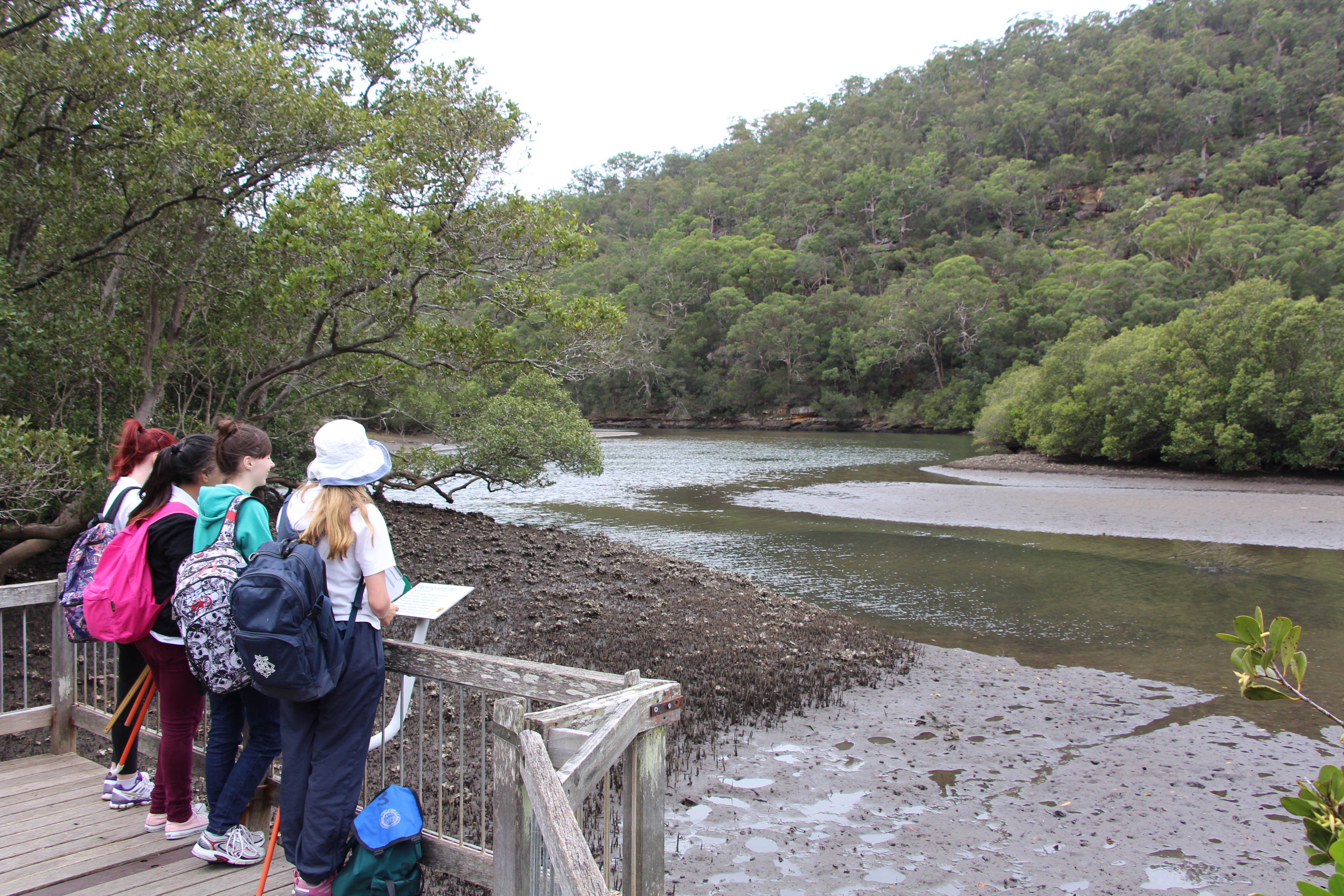 Students stand in a group on a walkway looking out of a river with mangrove flats on each side.