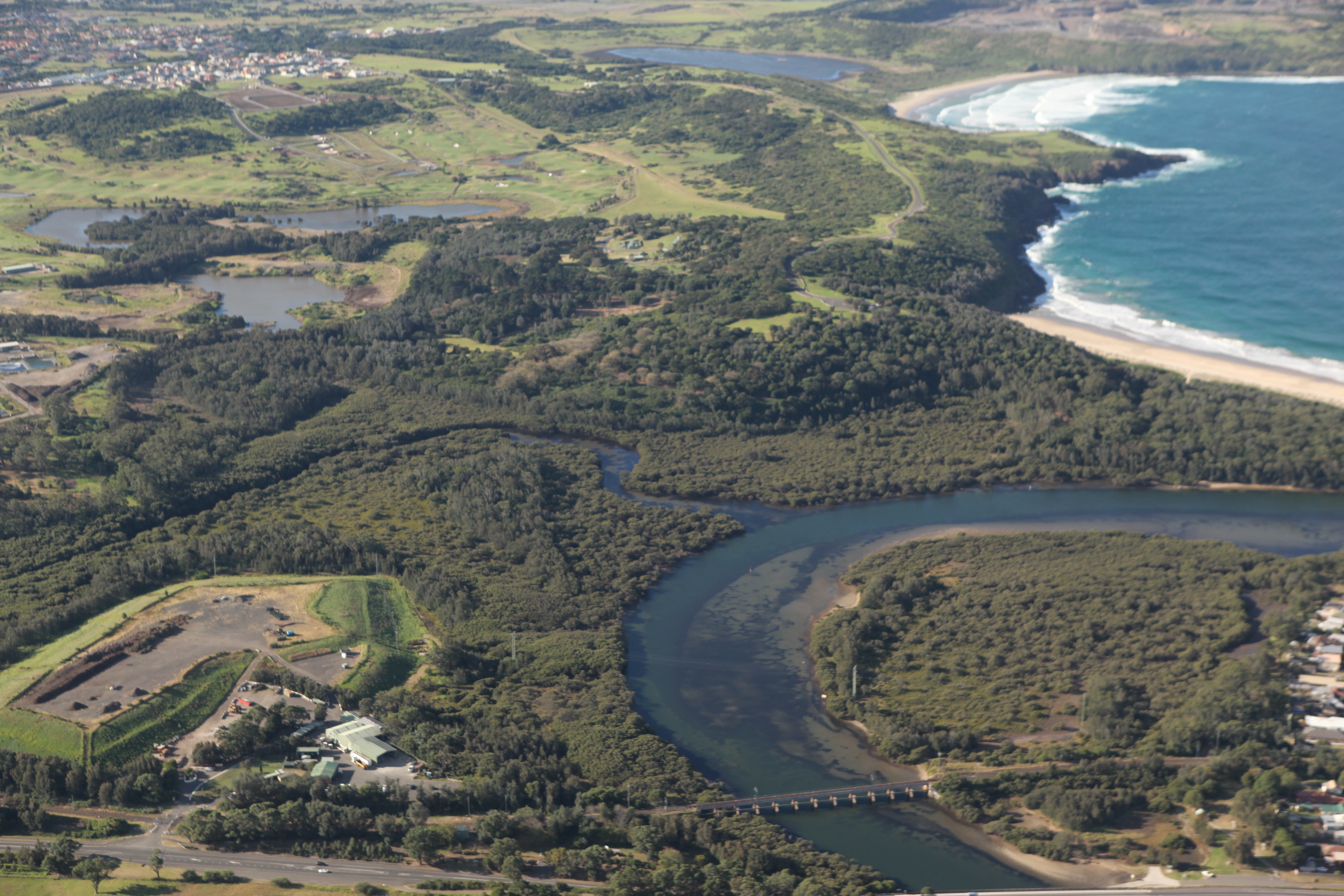 Aerial view of the Minnamurra mangroves with a river and creeks snaking through the trees and the beach just behind them.