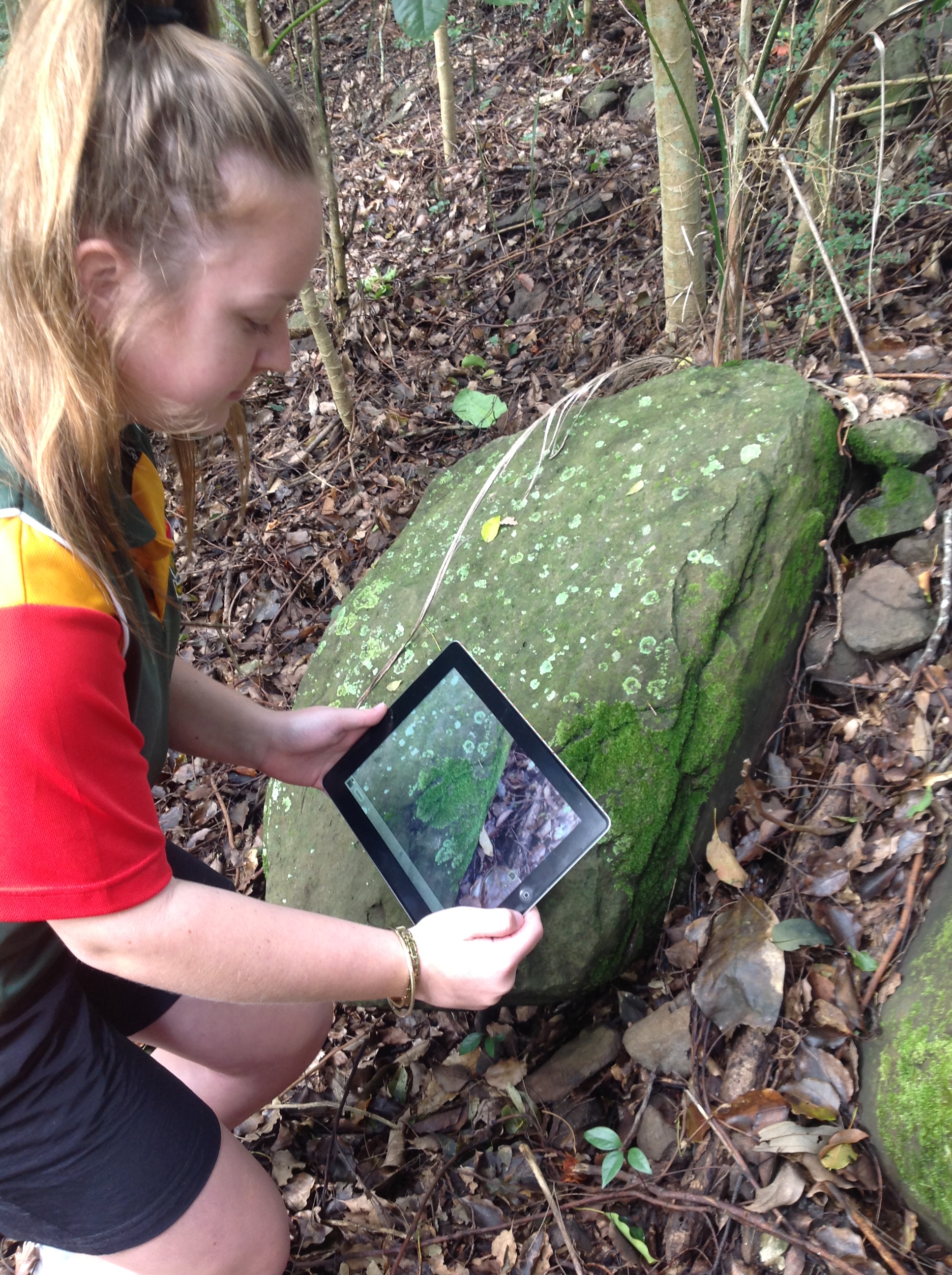 Student using an iPad to atke a close up photo of themoss on a standstone rock surrounded by leaf litter
