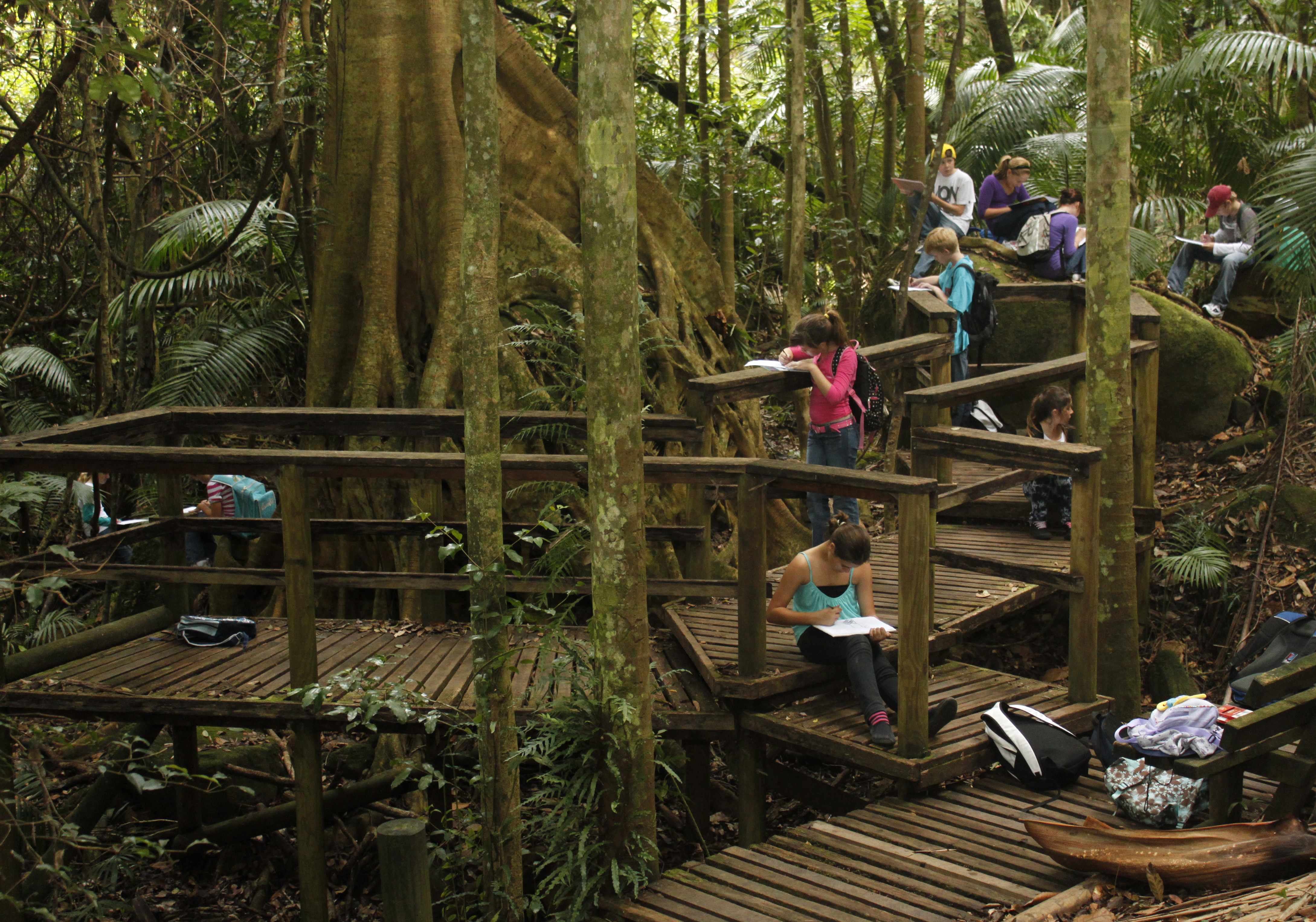 a group of school students sitting and standing on a wooden walkway through a rainforest, they are all writing notes and look involved in their work.