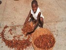 African boy sorting beans
