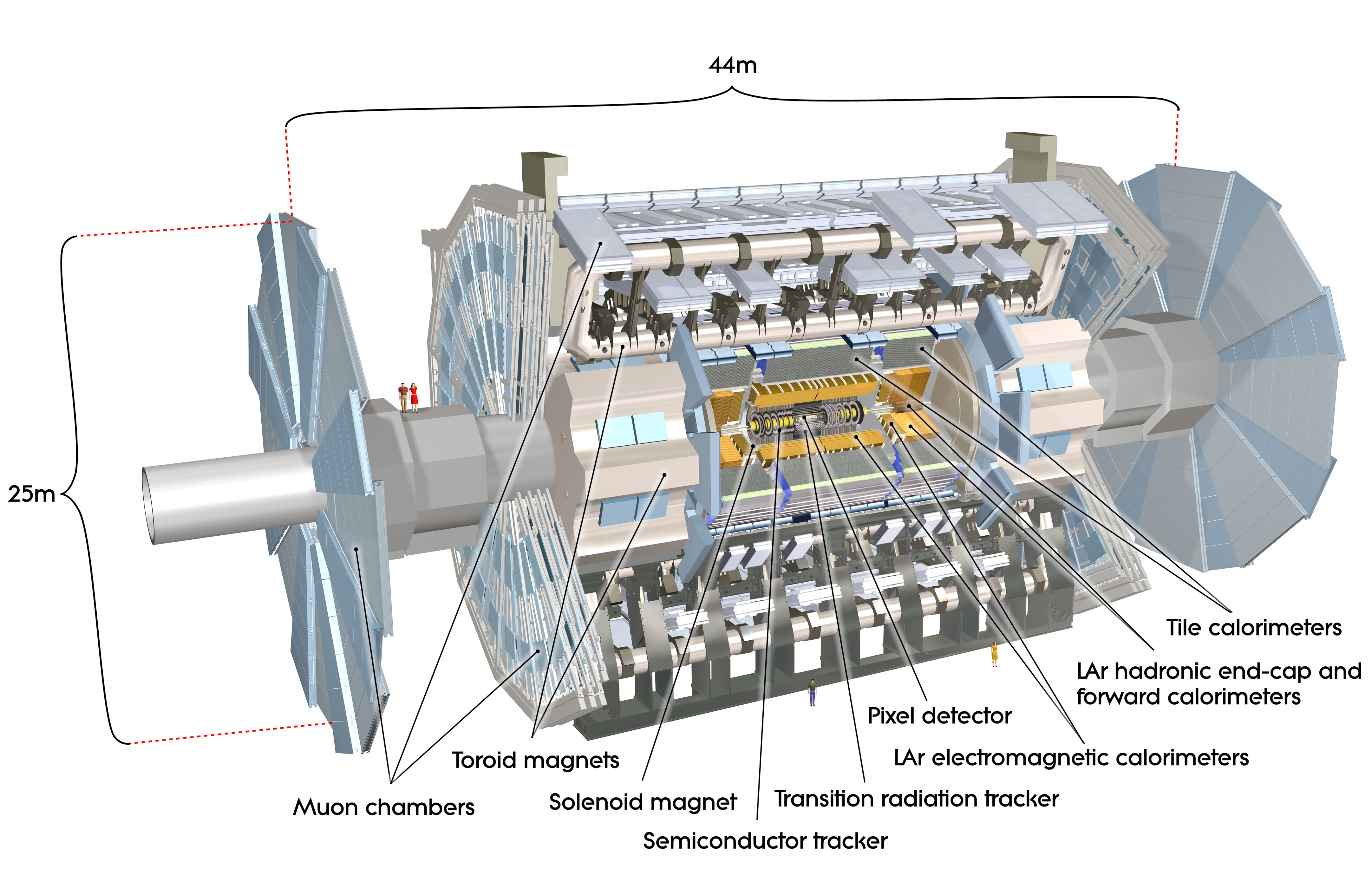 Drawing of the barrel shaped ATLAS detector with cut out sections to show the radiation tracking chamber at the centre, surrounded by the electromagnetic calorimeter then the hadronic calorimeter. The muon chambers surround the whole lot, including capping each end.