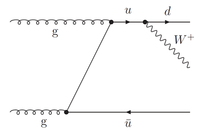 A line drawn like a spring labelled g for gluon runs horizontally from top left for 2/3 of the image ending in a dot. A horizontal line (arrow in middle of line pointing in the direction of time ie, to the right) labelled d for down quark runs horizontally from the bottom left  for about 1/3 of the image ending in a dot. From this dot a line (arrow in middle of line pointing in the direction of time) runs to the dot at the top from which a horizontal line (arrow in middle of line pointing in the direction of time) labelled u for up quark projects to the right. From the dot at the bottom a wavy line, labelled W-, runs horizontally toward the right.