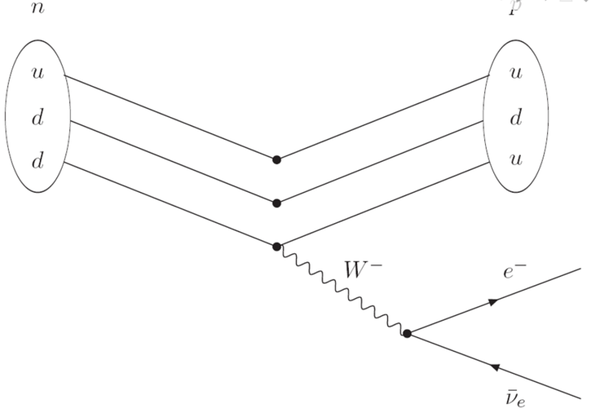 Feynman diagram showing a neutron with 1 up quark and two down quarks at the top left; and a proton with 1 down quark and two up quarks at top right of diagram. Lines from each neutron quark are drawn at a 4 o’clock angle towards each of three dots at the vertical centre of the diagram and from these dots lines are drawn at 2 o’clock angle to each quark of the proton—up quark to up quark; down quark to down quark; and the neutron’s second down quark to the proton’s second up quark. From the dot vertex of this last transformation a wavy line, labelled W- projects at a 5 o’clock angle and ends in a dot. From this dot a line (with an arrow symbol in the middle of the line) labelled e-, projects at a 2 o’clock angle; and another line, labelled  ̅νe (with arrow symbol in the middle of the line facing backwards against time) projects from the dot at a 4 o’clock angle.
