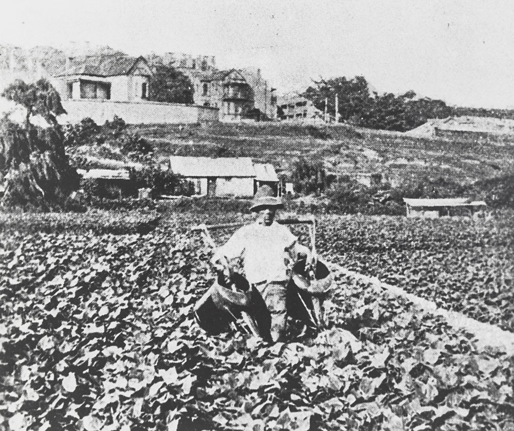 Photo of Chinese market garden with gardener in the foreground watering plants and various farm buildings in the background.