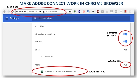 Settings to allow Adobe Connect in your Chrome browser - click for larger image