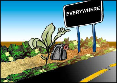 Cartoon of a weed hitch hiking