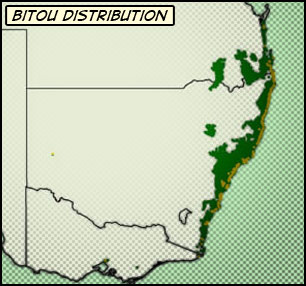 Map of NSW coast showing bitou.