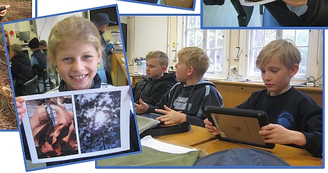 Students at Central Tilba Public School participating in the Digital Forests program