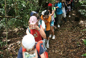 Photo of children walking in a line holding mirrors in front of their face to view the canopy above