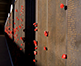 Red poppies along the Wall of Honour at the Australian War Memorial