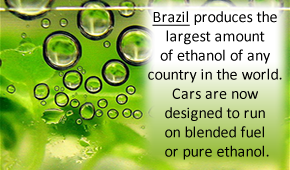 Brazil produces the largest amount of ethanol of any country in the world. Cars are now designed to run on blended fuel or pure ethanol.