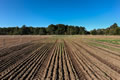 A ploughed field in the foreground with the furrows leading off into a vanishing point.