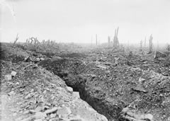 Photo of devastation caused by fighting in the Battle of the Somme. Road has been badly shelled, trees have been destroyed apart from a few stumps and debris litters the battle ground