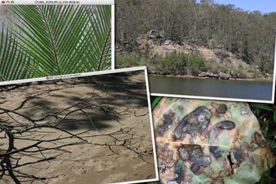 Step 1 image: four micro and macro photos of landscape views