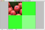 Step 4: the template with one light green square replaced with a portion of the berry photo