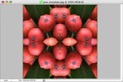 Step 6: a ring of berries in front of a green ‘x’ with other berries behind