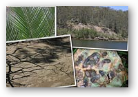 Montage of images of environment