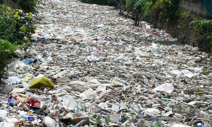 Plastic bottles