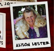 Alison Lester polaroid