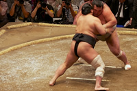 Sumou thumbnail: Two large men wrestling sumo style
