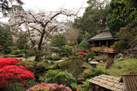 Japanese gardens thumbnail: a garden with flowering plants, a tree in blossom, a stream and some small open buildings