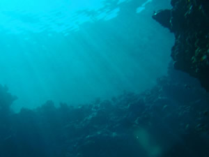 Underwater scene with beams of sunlight